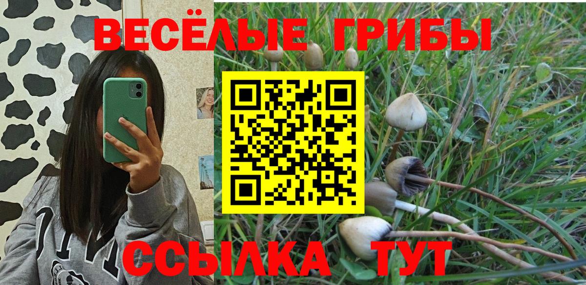 Галлюциногенные грибы мухоморы Дальнегорск