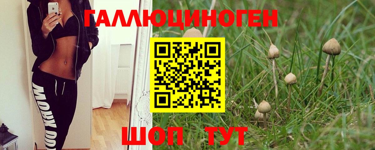 Галлюциногенные грибы Cubensis  Вход с VPN  Дальнегорск 